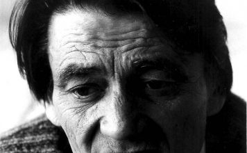 CUENTOS DE MEDIANOCHE: De violines y gallinas Créditos a su autor. El propietario de esta imagen es el titular de sus derechos.