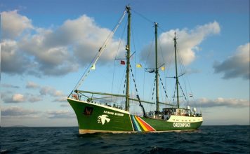 HISTORIAS DE LA HISTORIA: El Hundimiento del Rainbow Warrior y sus consecuencias Créditos a su autor. El propietario de esta imagen es el titular de sus derechos.