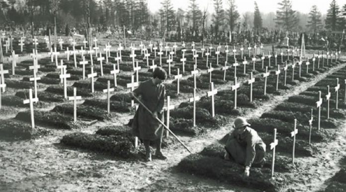 gripe Créditos a su autor. El propietario de esta imagen es el titular de sus derechos.