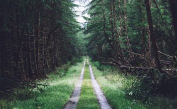 CUENTOS DE MEDIANOCHE: El emisario Créditos a su autor. El propietario de esta imagen es el titular de sus derechos.