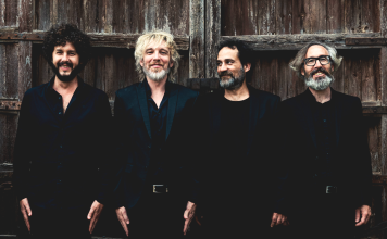 PRIMER PLANO con ELEFANTES Créditos a su autor. El propietario de esta imagen es el titular de sus derechos.