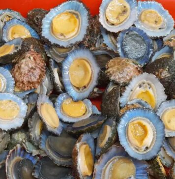 Los guachinches como expresión viva de la gastronomía canaria