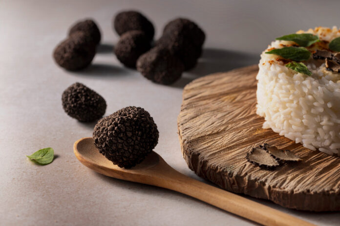 774679 - Cristofaro Trufas