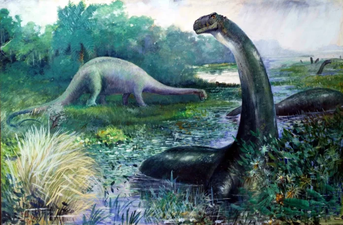 dinos